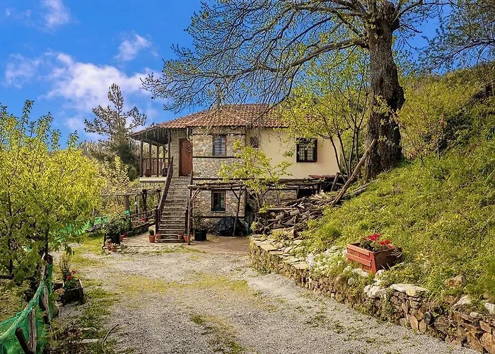 Halatsogiannis Mansion Εξοχικό σπίτι *